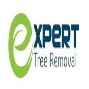 experttreeremoval